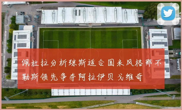 佩杜拉分析琼斯适合国米风格那不勒斯领先争夺阿拉伊贝戈维奇